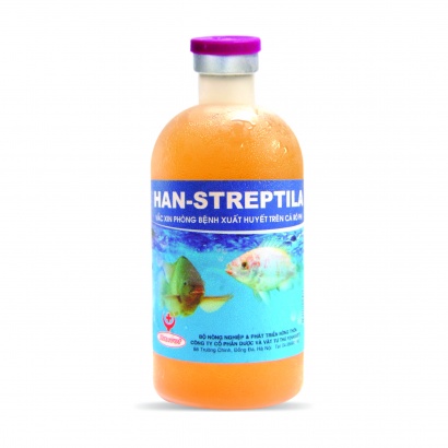 HAN-STREPTILA