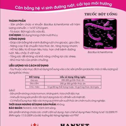 Men vi sinh Bacillus licheniformis