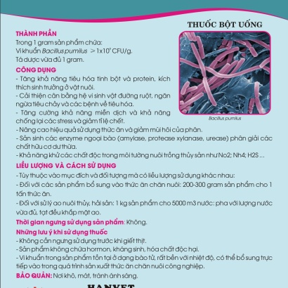 Men vi sinh Bacillus pumilus