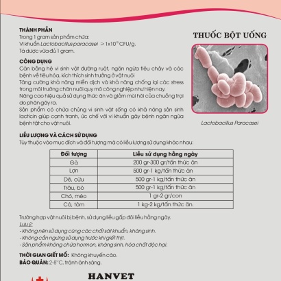 Men vi sinh LactoBacillus Paracasei