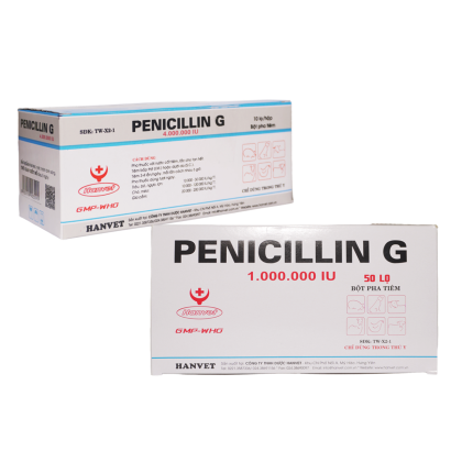 PENICILLIN G