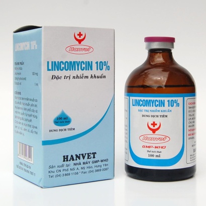 LINCOMYCIN 10%