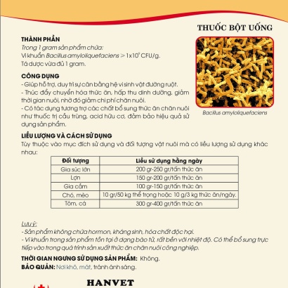 Men vi sinh Bacillus amyloliquefaciens