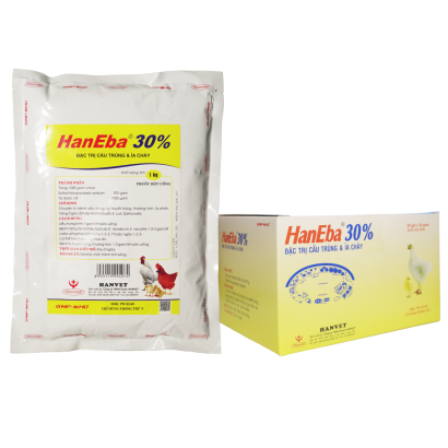 HANEBA 30%