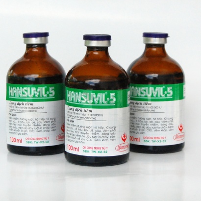Hansuvil-5