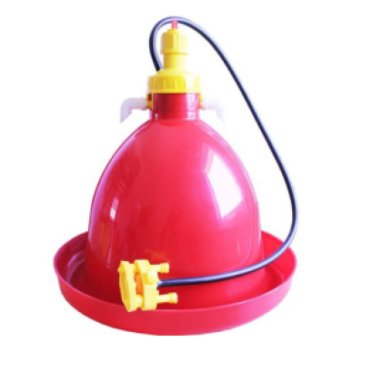 Máng tập ăn cho gia cầm