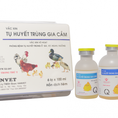 Vắc xin tụ huyết trùng gia cầm