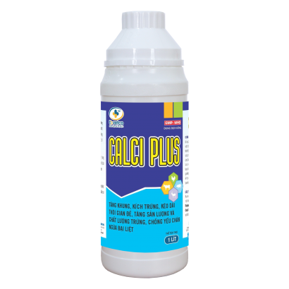 CALCI PLUS