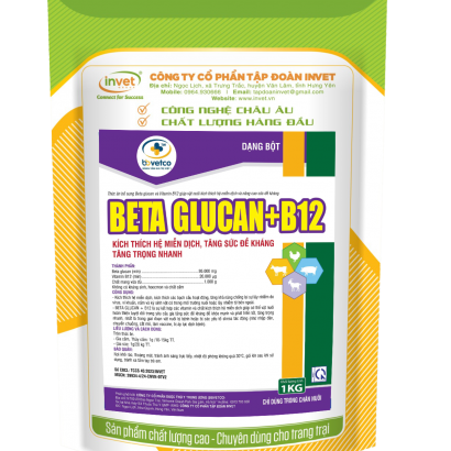 BETA GLUCAN + B12