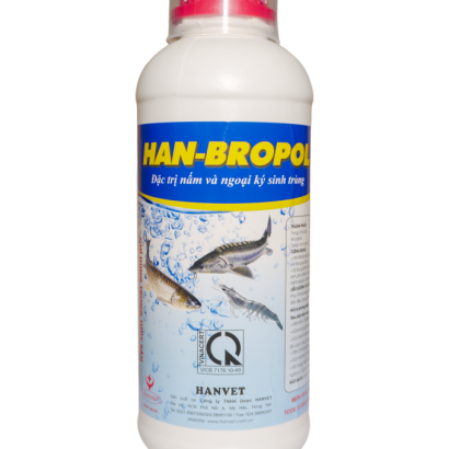 HAN-BROPOL