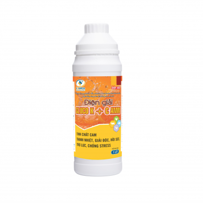 ĐIỆN GIẢI GLUCO K+C AMIN