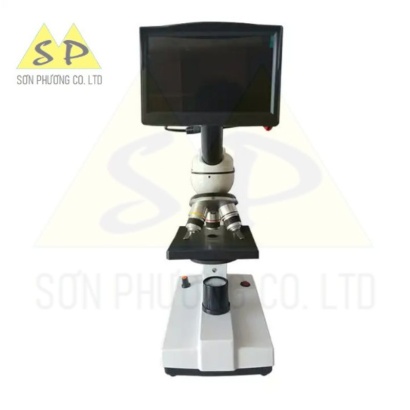 Kính hiển vi soi tinh heo
