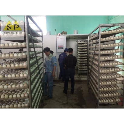 Máy ấp nở trứng gia cầm Thanh Đảo