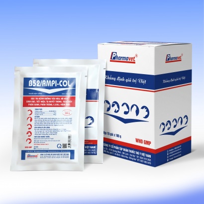 B52/AMPI-COL