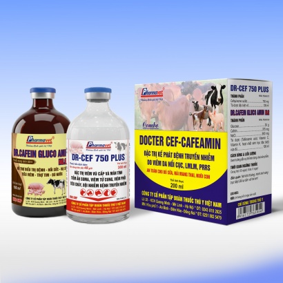 DOCTER CEF-CAFEAMIN