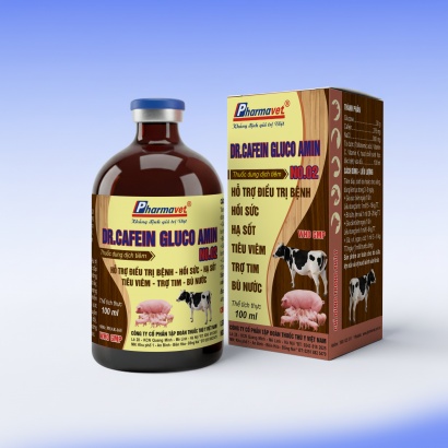 DR-CAFEIN GLUCO AMIN NO.02