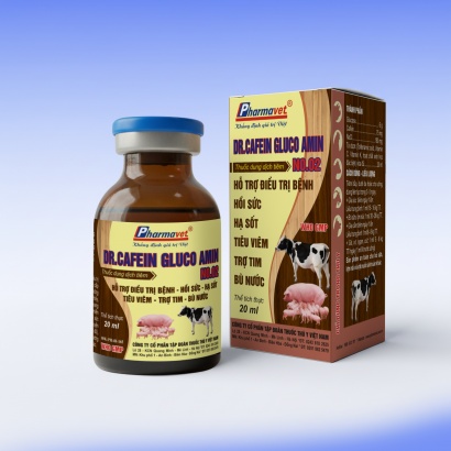 DR-CAFEIN GLUCO AMIN NO.02