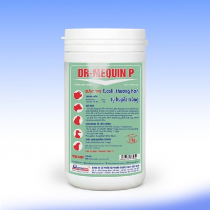 DR-MEQUIN P