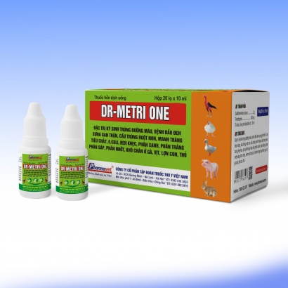 DR-METRI ONE