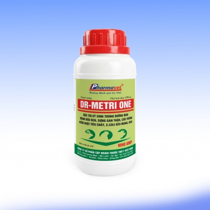 DR-METRI ONE