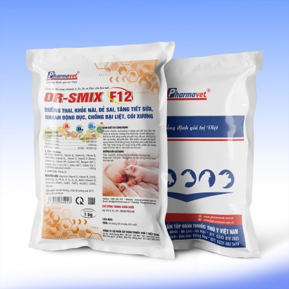 DR-SMIX F12