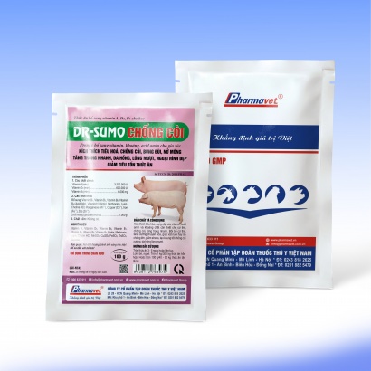 DR-SUMO CHỐNG CÒI