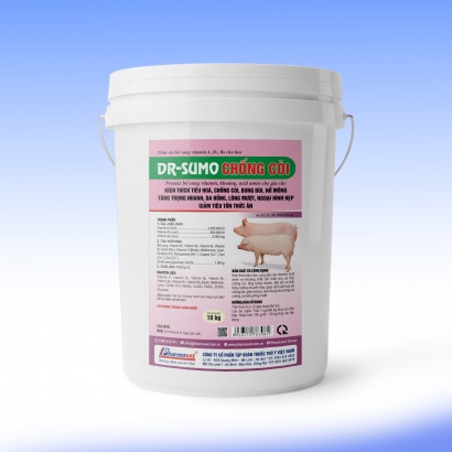 DR-SUMO CHỐNG CÒI