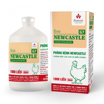 Five-Newcastle G7