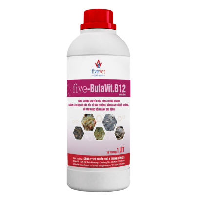 Five-Butavit.B12 TS