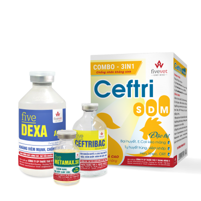 Combo 3in1 CEFTRI SDM