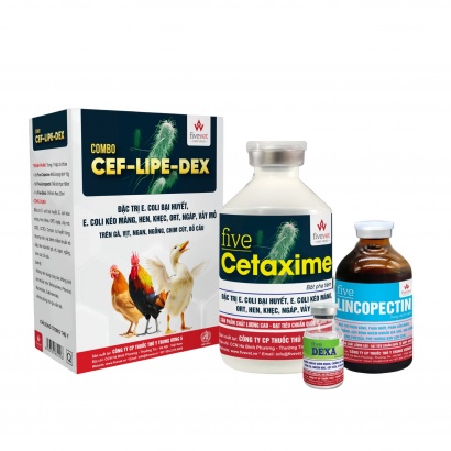 Combo Cef-LiPe-Dex