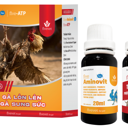 Combo gà lỏn lẻn