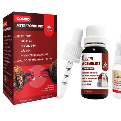 COMBO METRI TONIC B12