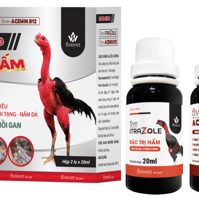 COMBO TRỊ NẤM DÀNH CHO GÀ ĐÁ