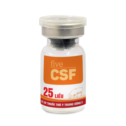 Five-CSF