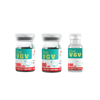 Five-VGV