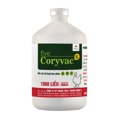 Five-Coryvac 
