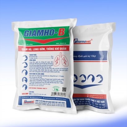 GIAMHO-B