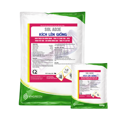 SOL AD3E - KÍCH LÊN GIỐNG