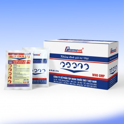 PHARAMOX G (AMOX COLIS 2.5X)