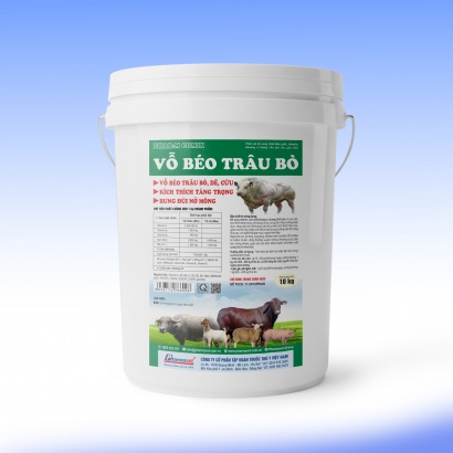 VỖ BÉO TRÂU BÒ