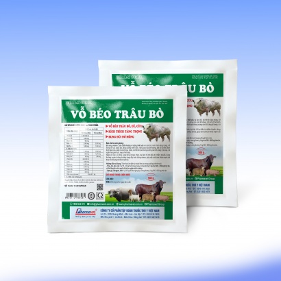 VỖ BÉO TRÂU BÒ