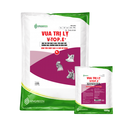 VUA TRỊ LỴ V-TOP.E+