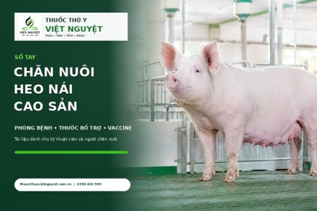Sổ tay chăn nuôi heo nái cao sản – Phòng bệnh, vaccine và chăm sóc sinh sản