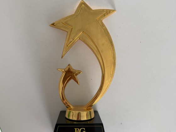 Nhà phân phối triển vọng - BIG GROUP
