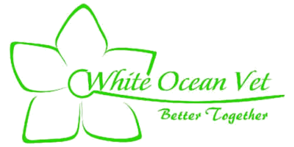 White Ocean Vet