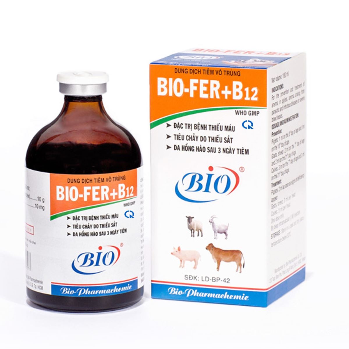 BIO-FER+B12
