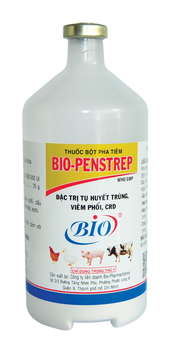 BIO-PENSTREP 250