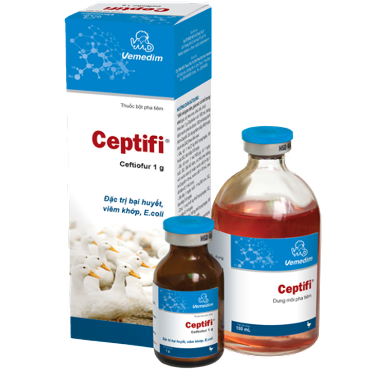 Ceptifi (cặp)