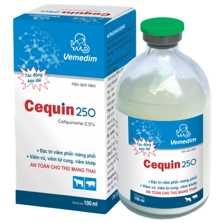 Cequin 250
